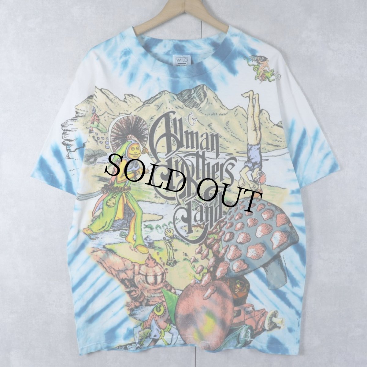 画像1: 1995 The Allman Brothers Band USA製 タイダイ ロックバンドプリントTシャツ L (1)