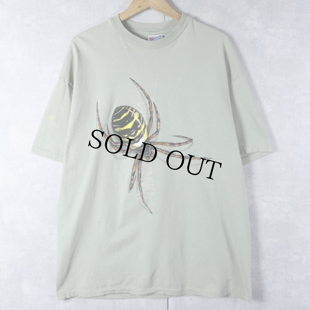 画像1: 90's USA製 蜘蛛イラストプリントTシャツ XL (1)