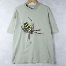 画像1: 90's USA製 蜘蛛イラストプリントTシャツ XL (1)
