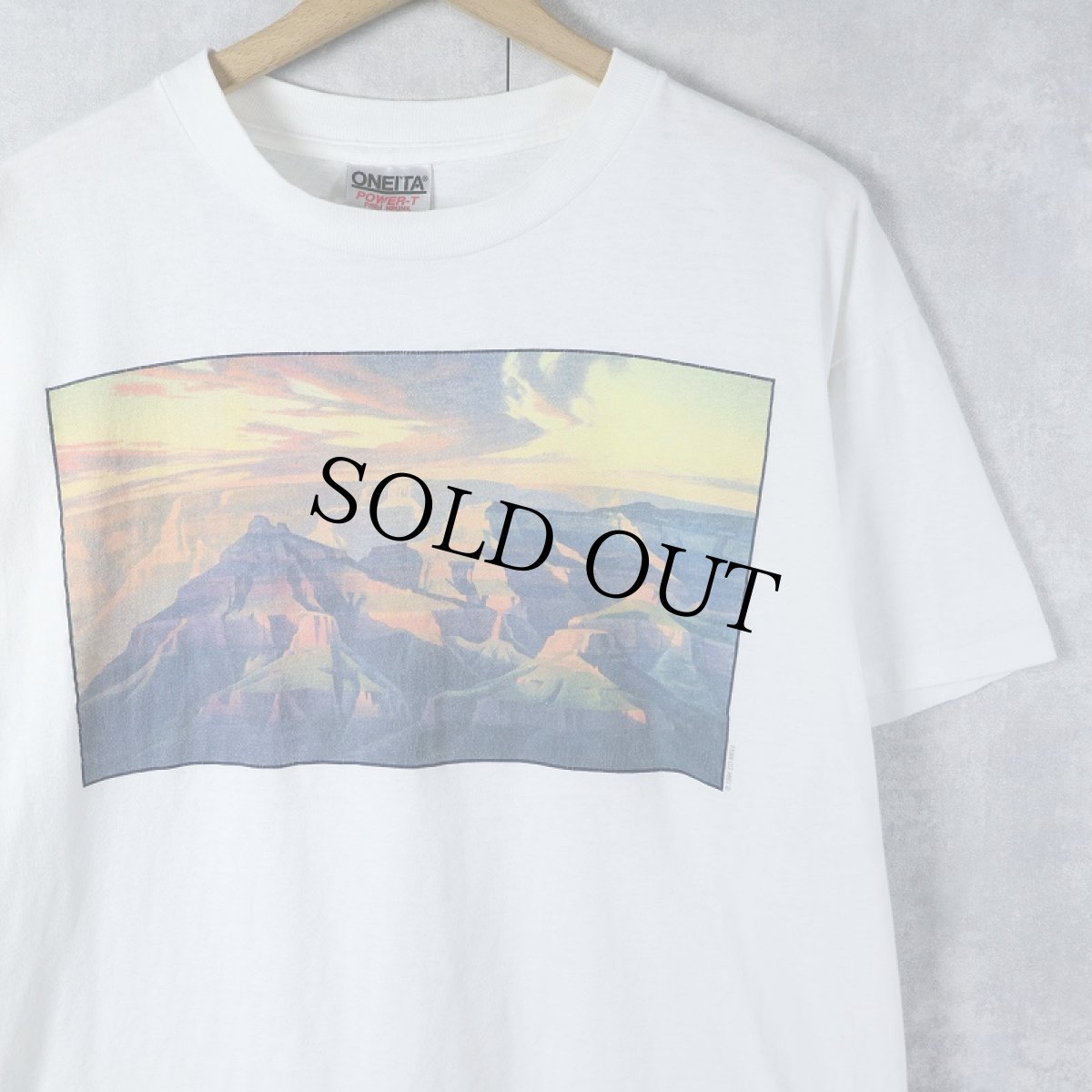 画像1: 90's ED MELL USA製 アートプリントTシャツ L (1)