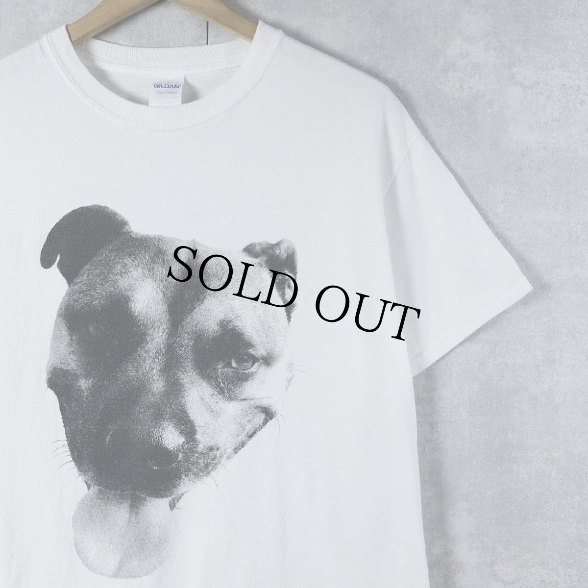画像1: 犬フォトプリントTシャツ M (1)