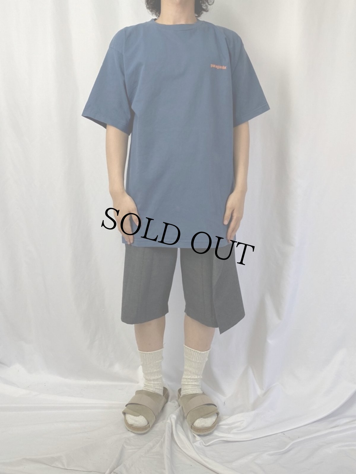 画像3: Patagonia USA製 "Beneficial T's" バックプリントTシャツ L (3)